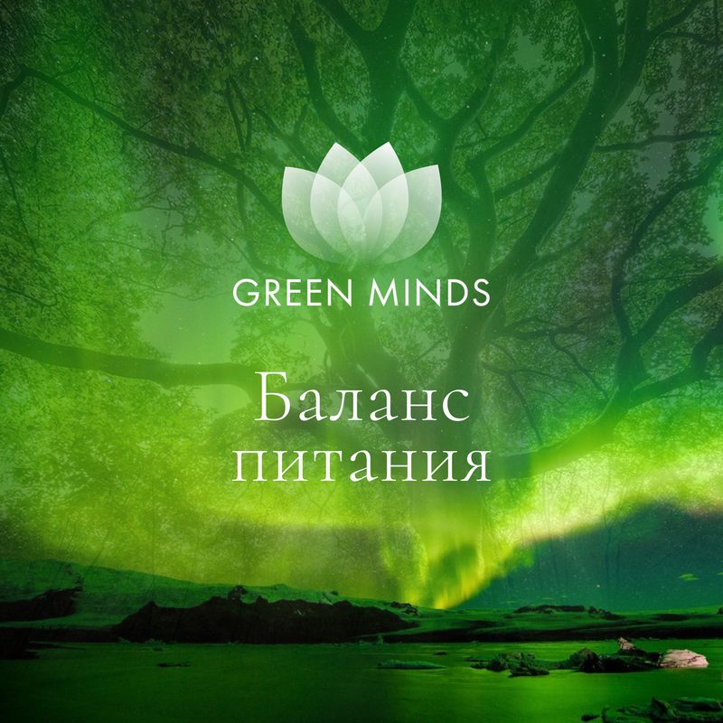 Нейромедитация GREEN MINDS «баланс питания»