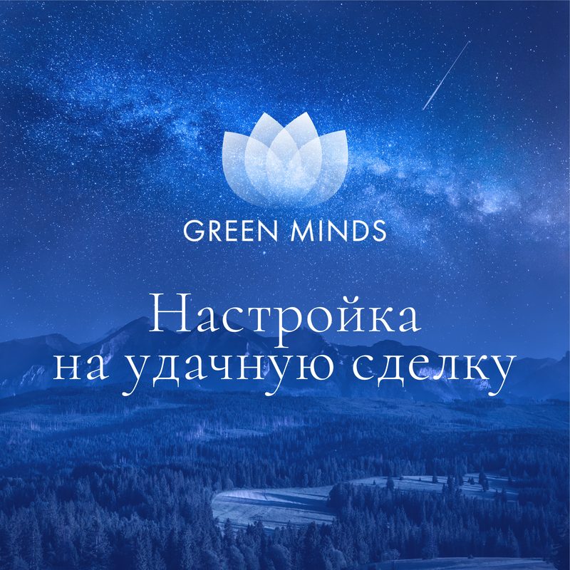 Нейромедитация GREEN MINDS «настройка на удачную сделку»